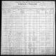 1900 United States Federal Census