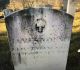 James YOUNG, (3rd in father's will) _ Rev. War 2nd Reg. NC S(alisbury?) Co.