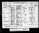 1881 Wales Census