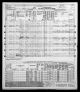 1950 United States Federal Census