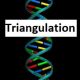 DNA TRIANGULATION