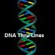 dna thru lines (1).png